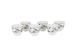 GARDEN'S BIRDS  LUXURY BOX SET 6 PCS. ARABIC CUP