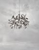 ARGENT Pendant light