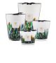 CANDLE RAINFOREST AMAZONIA