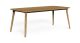 MOON TEAK DINING TABLE 200X100